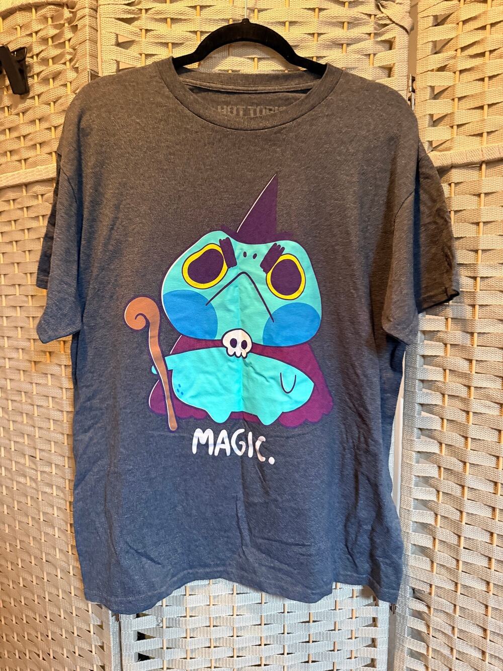 Hot Topic Magic Wizard Frog Graphic T Shirt Gray Men's Short Sleeve Large